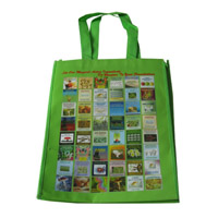 赣州LB11覆膜无纺布广告袋